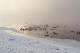 Морозы. Фото из архива IRK.ru