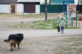 Собака и ребенок. Фото Маргариты Романовой, IRK.ru
