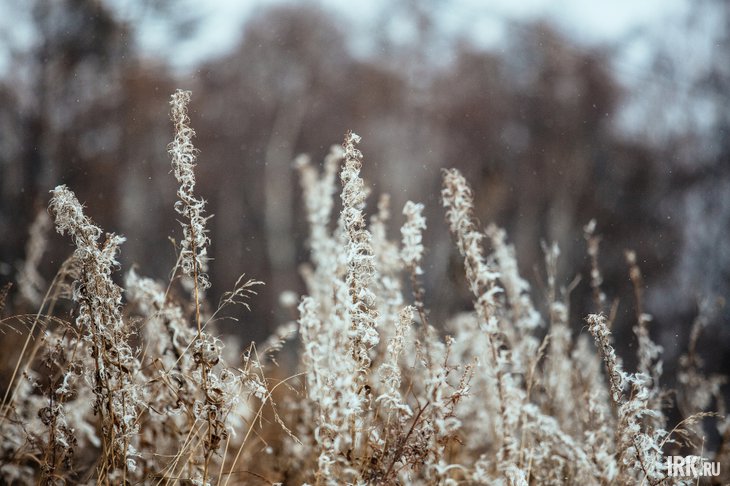 Природа. Фото Зарины Весна, IRK.ru