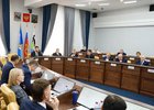 Заседание. Фото пресс-службы думы Иркутска