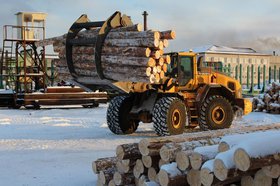 Лесозаготовка. Фото ФРП