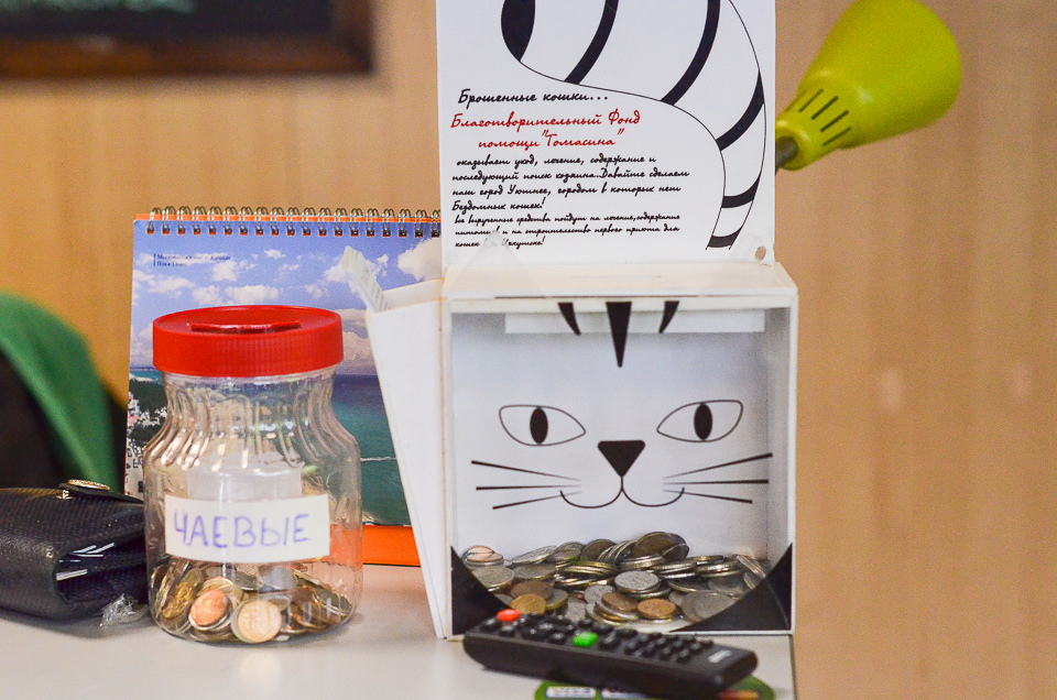 Часть денег, заработанных сегодня, ресторан"ЖЫ-ШЫ" планирует передать в кошачий приют.