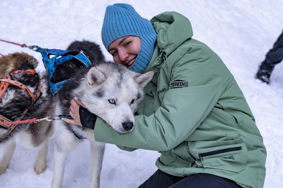 Гости смогут покататься в собачьей упряжке