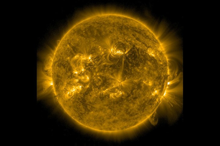 Корона Солнца 5 февраля 2026 года. Фото с сайта лаборатории солнечной астрономии ИКИ РАН