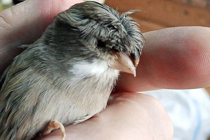 Фото из телеграм-канала администрации Чунского муниципального округа