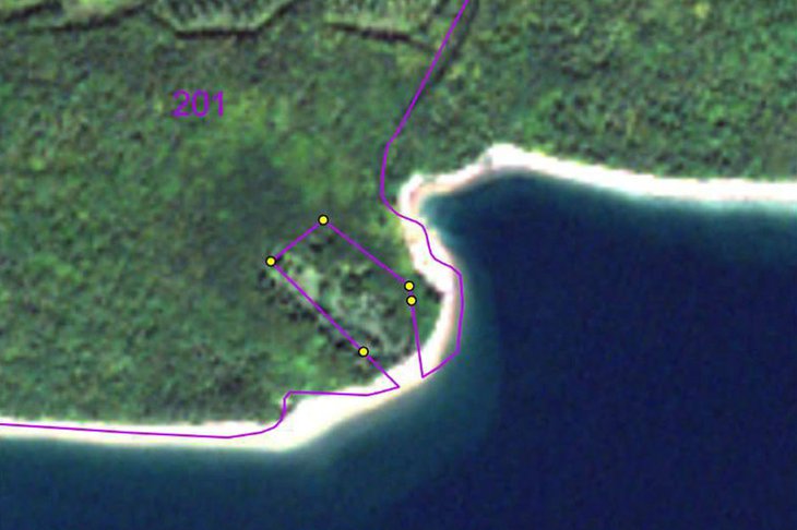 Изображение из телеграУчасток лесничества. Байкальской межрегиональной природоохранной прокуратуры