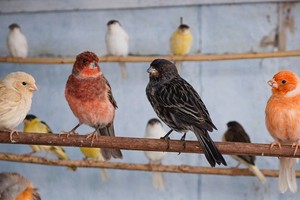 Фото из телеграм-канала администрации Чунского муниципального округа