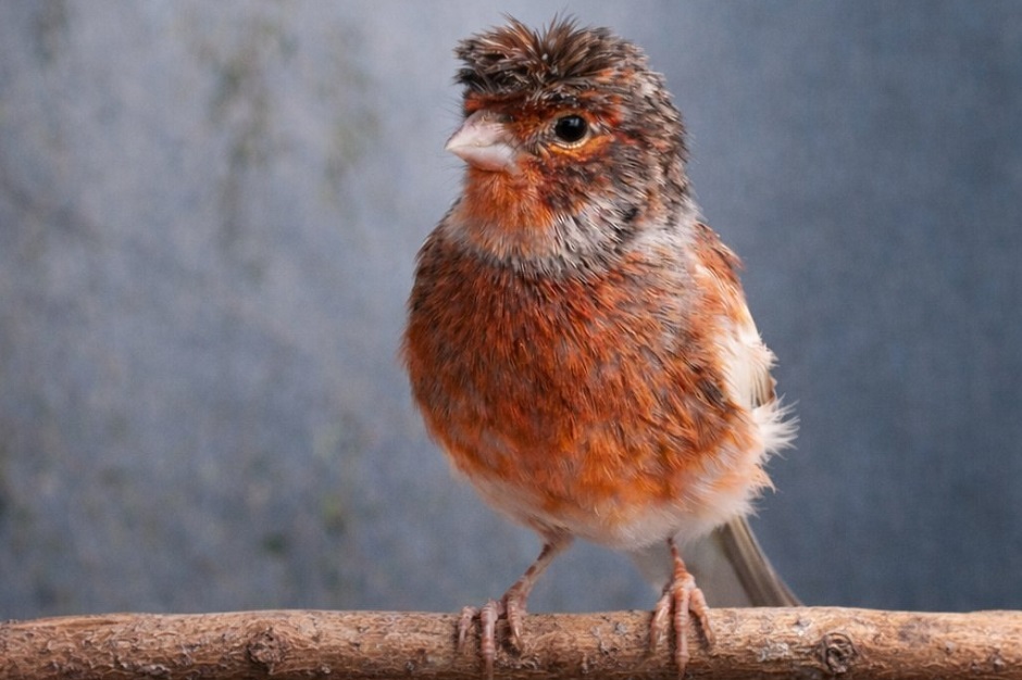 Фото из телеграм-канала администрации Чунского муниципального округа