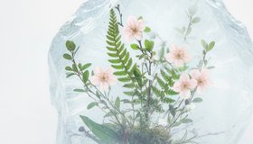 АрхБухта. Рекурсия