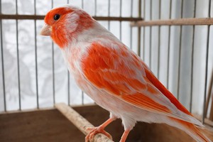 Фото из телеграм-канала администрации Чунского муниципального округа