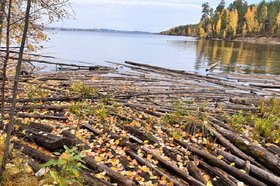 Древесина в водохранилище. Фото пресс-службы Байкальской межрегиональной природоохранной прокуратуры
