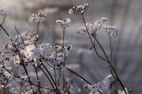 Зима в Иркутске. Фото Маргариты Романовой из архива IRK.ru