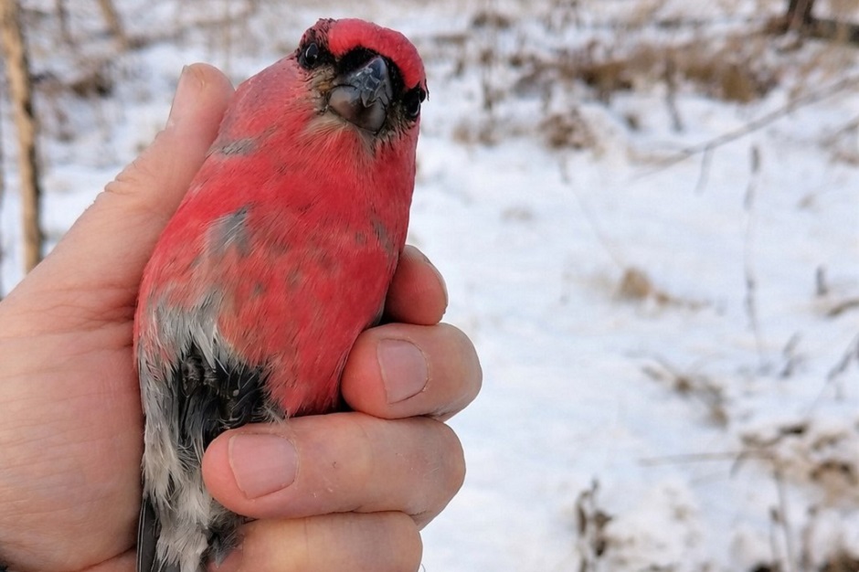 Фото из телеграм-канала администрации Чунского муниципального округа