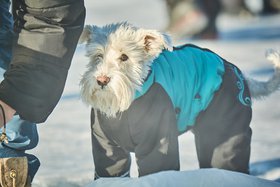 Морозы. Фото Маргариты Романовой, IRK.ru