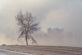 Морозный день в Иркутске. Фото Ильи Татарникова из архива IRK.ru