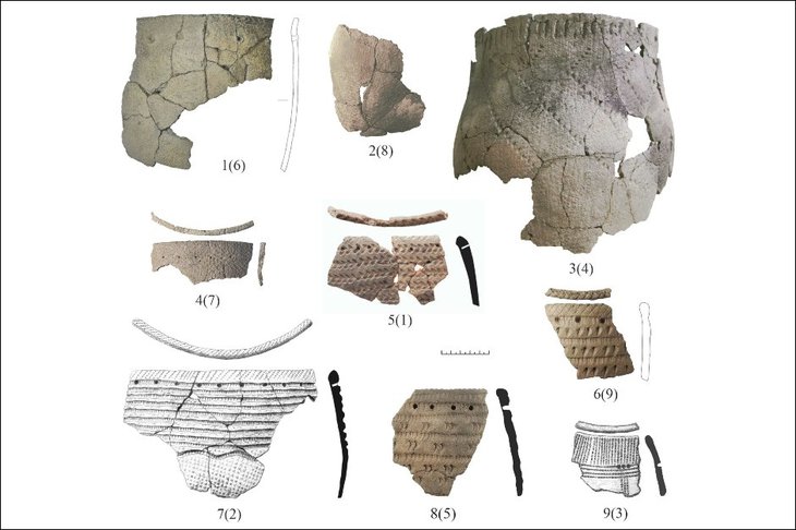 Образцы черепков глиняной посуды времен неолита. Фотография предоставлена исследователем (Денис Рогозин)