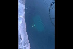 Машина быстро ушла под воду. Фото пресс-службы Следкома