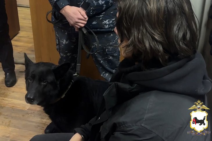 Задержанный юноша и сотрудники полиции. Скриншот видео ГУ МВД России по Иркутской области