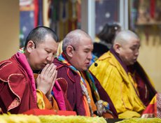 Ламы молятся о благополучии всех живых существ