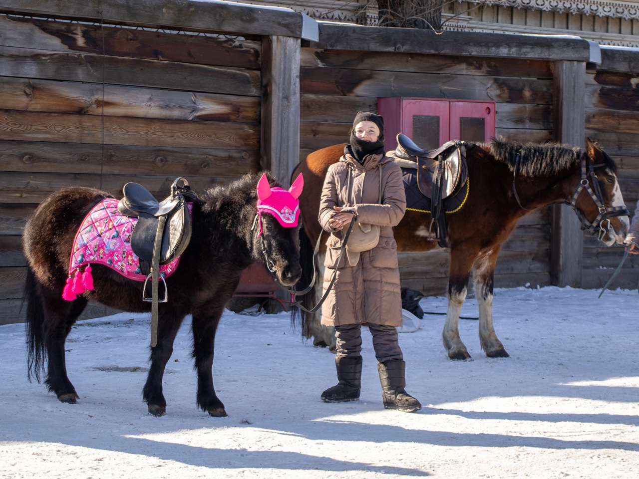 На празднике в Музее декабристов можно будет покататься на лошади. Фото: Музей декабристов