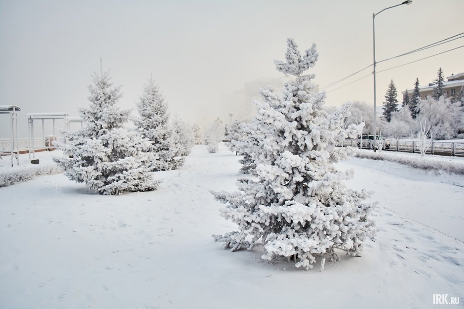 Зимний Иркутск. Фото Маргариты Романовой, IRK.ru Зимний Иркутск. Фото Маргариты Романовой, IRK.ru