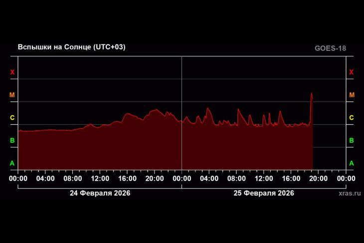 Вспышка на Солнце. Фото из телеграм-канала лаборатории солнечной астрономии ИКИ РАН