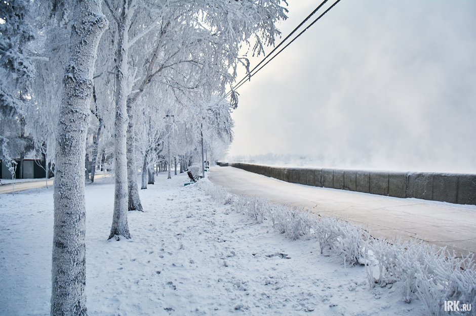 Деревья в инее. Фото Маргариты Романовой, IRK.ru Деревья в инее. Фото Маргариты Романовой, IRK.ru