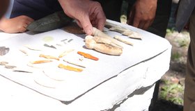 Научная экскурсия по парку им. Парижской коммуны