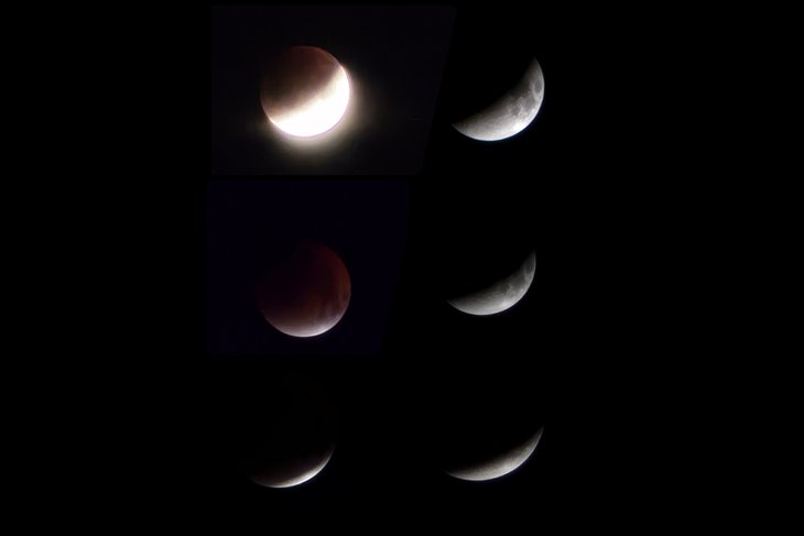 Луна входит в тень Земли в сентябре 2025. Снимки Ларисы Затулко