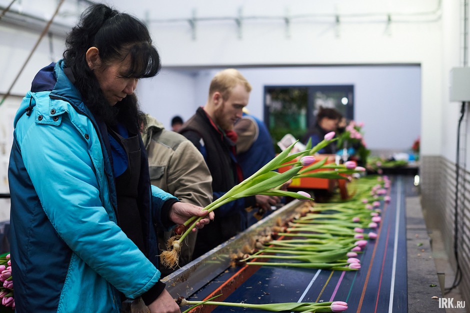 Раньше для этих процессов требовался ручной труд 40 человек. Теперь на сортировке задействовано 10 сотрудников.