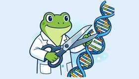 Научная среда: CRISPR – технология завтрашнего дня, доступная уже сегодня
