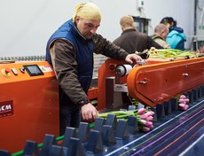 Линия выполняет несколько функций: отделяет луковицу от стебля, удаляет лишние листья,  формирует пучок и обвязывает его.