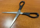 Ножницы. Фото из архива IRK.ru