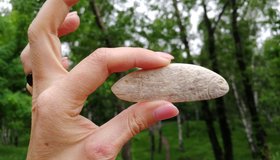 Научная экскурсия по парку имени Парижской коммуны