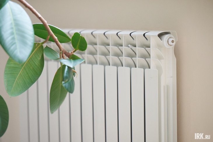 Батарея отопления. Фото Маргариты Романовой, IRK.ru