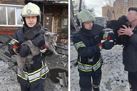 Спасенные коты. Фото пресс-службы ГУ МЧС России по Иркутской области