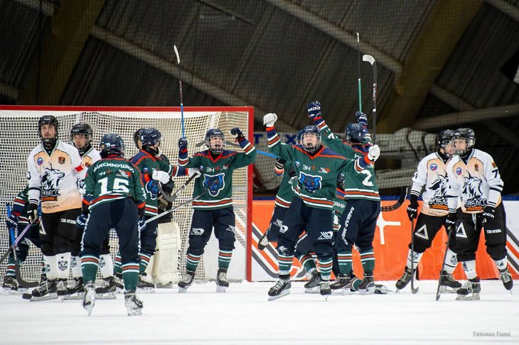 Хоккейный матч. Фото Татьяны Глюк