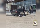 Задержание. Скриншот видео пресс-службы ГУ МВД России по Иркутской области