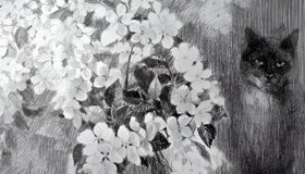 Коты + искусство