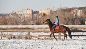 «Кубок Великой Победы». Соревнования по конкуру на Иркутском ипподроме