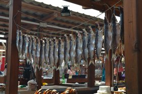 Рыба. Фото из архива IRK.ru