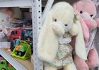 Игрушки. Фото центра «Точка опоры»