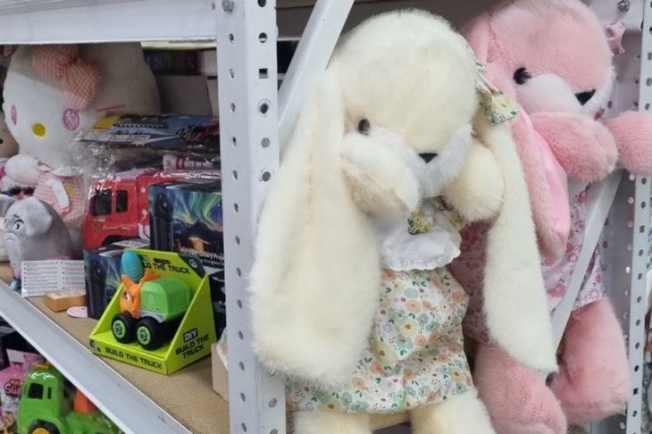 Игрушки. Фото центра «Точка опоры»