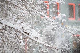 Снег. Фото Маргариты Романовой, IRK.ru