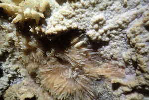 Минералы Ботовской пещеры