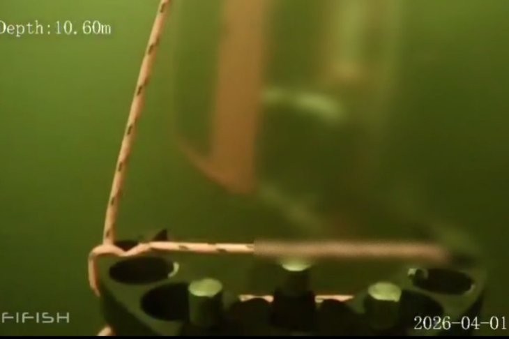 Поисковая операция. Скриншот из видео Руслана Медведя