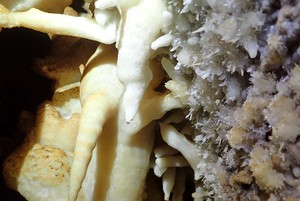 Минералы Ботовской пещеры