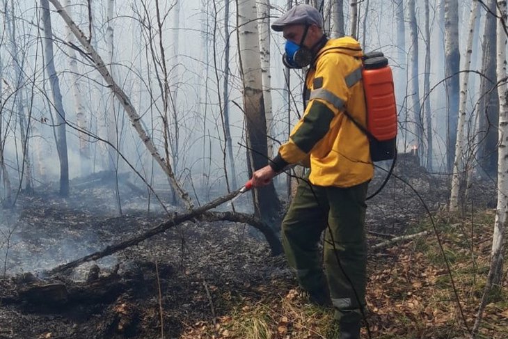Тушение лесного пожара. Фото пресс-службы правительства Иркутской области