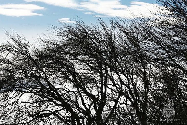 Фото ГУ МЧС России по Иркутской области