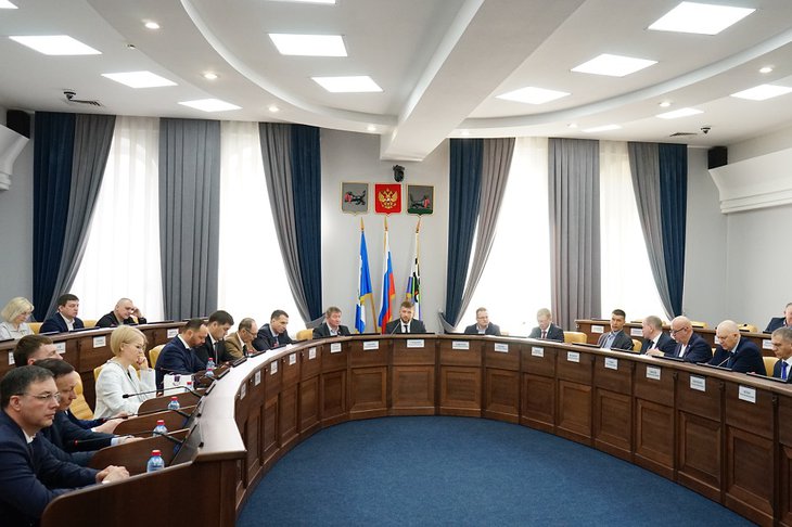 Заседание. Фото пресс-службы думы Иркутска